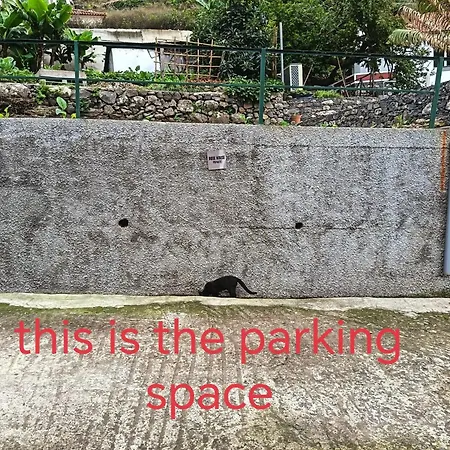 Lägenhet Rose House Ribeira Brava